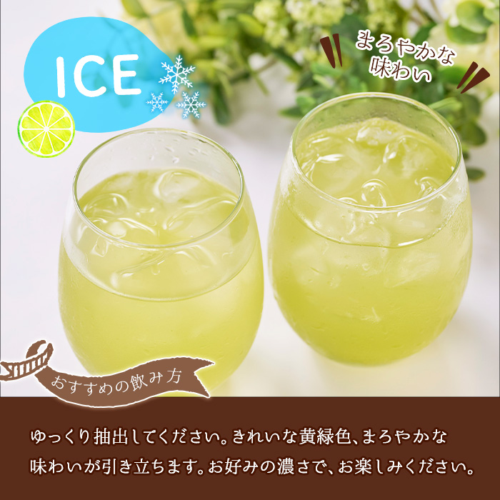 マリンレモン緑茶(4袋・2g×6個) お茶 ティー リフレッシュティー  防災 常温 常温保存 【HD203】【さいき本舗 城下堂】