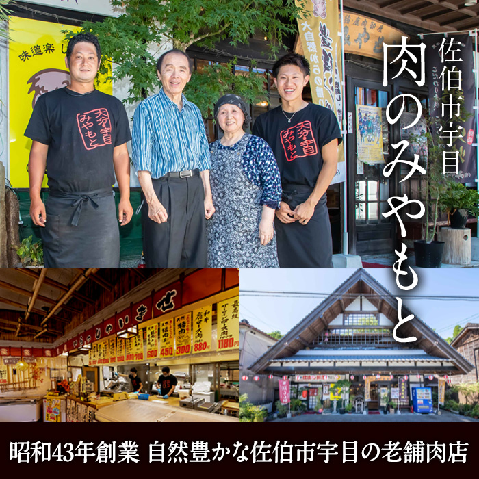 ＜お試し用＞老舗肉屋の大人気手羽先 (6本入り×2P) 国産 から揚げ からあげ 味付き 簡単 冷凍 お取り寄せ 惣菜 おかず おつまみ 揚げるだけ 小分け 大分県 佐伯市【HD219】【さいき本舗 城下堂】