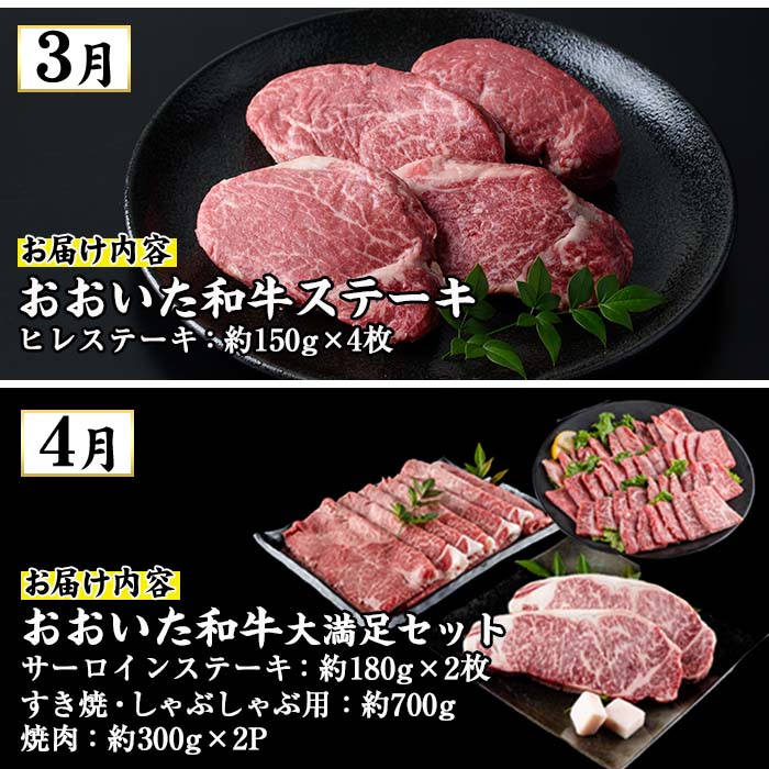 ＜先行予約受付中！2026年1月中旬より配送開始＞＜定期便・全4回＞味力全開！佐伯の極み 冬春定期便(月1回お届け) 鰤 ブリ とらふぐ 刺身 ふぐ 鍋 ステーキ ヒレ サーロイン しゃぶしゃぶ 焼肉 セット 【BR119】【佐伯市ふるさと納税事業者協議会】