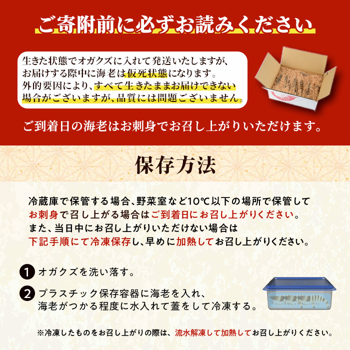 大分県産 新鮮車海老 (約1kg・15-20尾程度)直送 産直 漁師 魚 鮮魚 魚介 天然 車エビ 車海老 くるまえび 獲れたて 刺身 煮つけ フライ 塩焼き 冷蔵 大分県 佐伯市【DA02】【(有)丸直水産】