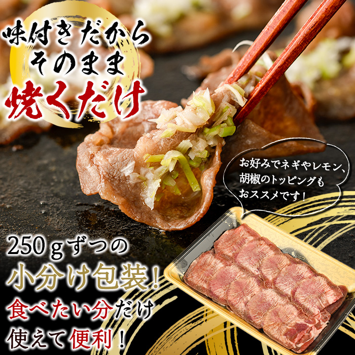 薄切り 塩味 牛タン (計1kg・約200g×5P) 小分け 牛肉 肉 タン 牛たん 味付け 焼肉 塩 BBQ 冷凍 大分県 佐伯市 【DH282】【(株)ネクサ】