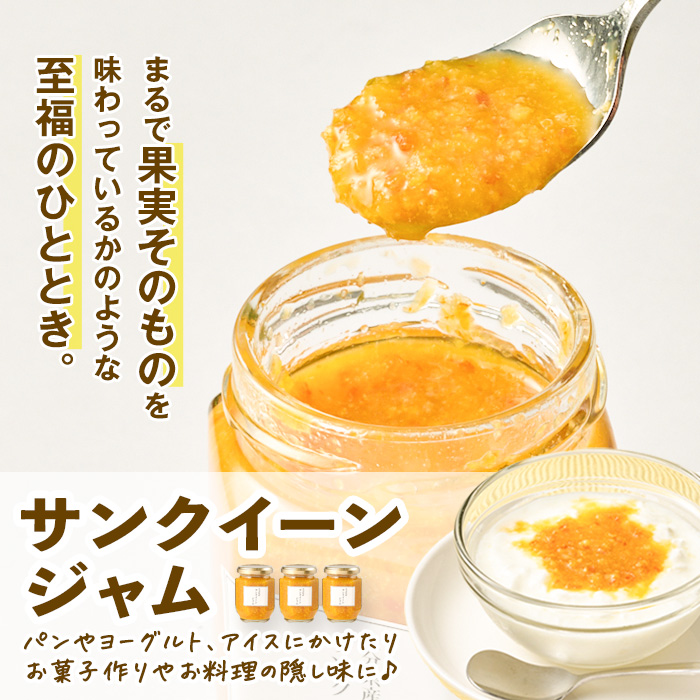 サンクイーンジャム(3個) フルーツ 果物 柑橘 ジャム 大分県産 特産品 大分県 佐伯市 防災 常温 常温保存 【DT12】【全国農業協同組合連合会大分県本部】