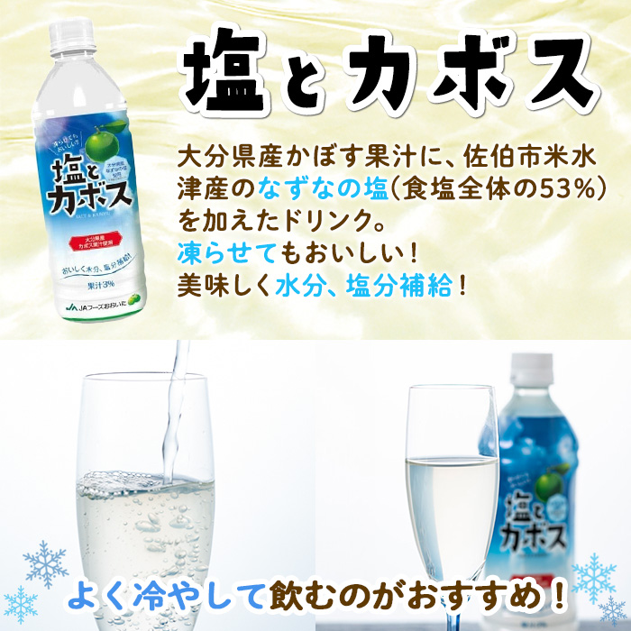 塩とカボス(24本) かぼす ドリンク ジュース 水分 塩分 補給 なずなの塩 大分県産 特産品 大分県 佐伯市 防災 常温 常温保存【DT16】【全国農業協同組合連合会大分県本部】
