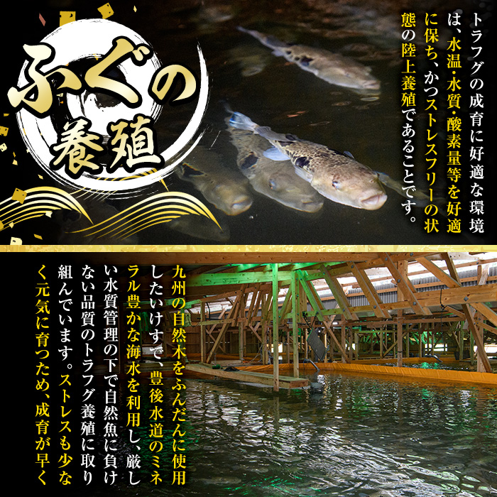 生簀直送 とらふぐ 鍋 セット (4-5人前) 魚 ふぐ 河豚 ふぐちり ポン酢 冷凍 佐伯 養殖 大分県 佐伯市【EA11】【トーワ】
