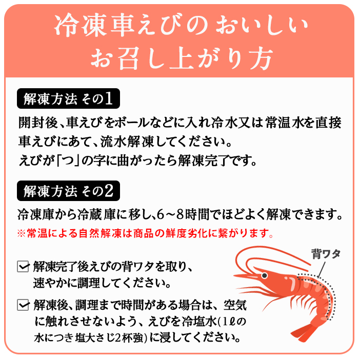 漁師直送! 天然活〆車えび (計500g・250g×2P) エビ 海老 車海老 エビフライ 冷凍 真空 魚介類 大分県 佐伯市 大分県産【EJ01】【萬漁丸】
