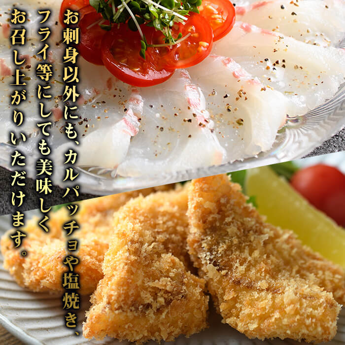 佐伯産 天然真鯛 刺身用ブロック (計500g) 魚 刺身 お刺身 鯛 タイ たい 真鯛 マダイ 鮮魚 海鮮 魚介 小分け カルパッチョ 塩焼き フライ 冷凍 国産 大分県産 おかず おつまみ 【GO015】【水元】