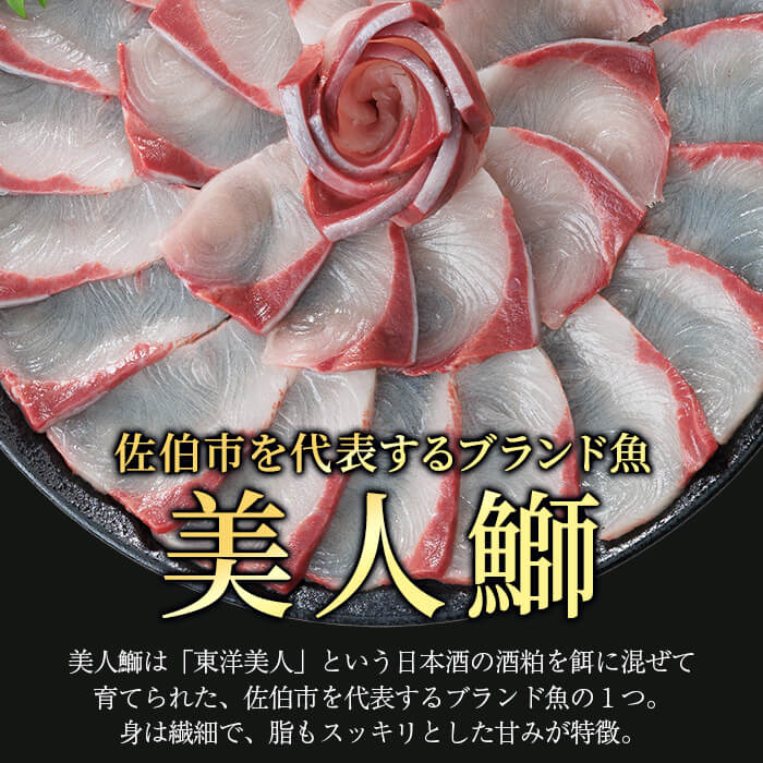 大分県産 美人鰤 フィレ (2枚・1枚あたり1.5kg以上) 鰤 ブリ フィーレ 半身 鮮魚 冷蔵 養殖 国産 大分県 佐伯市【GO018】【水元】