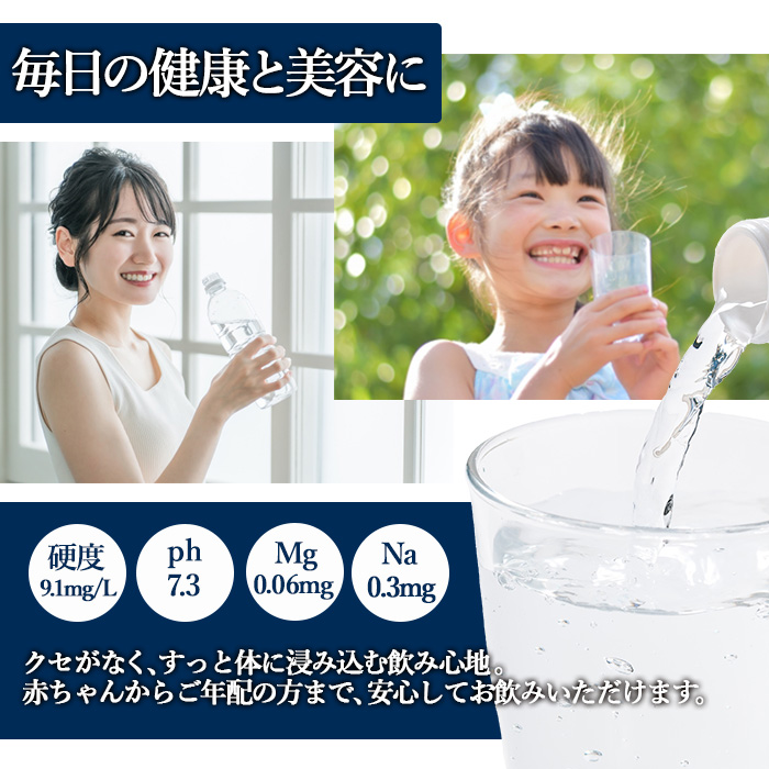 ＜定期便・全6回(毎月)＞ナチュラル ミネラル ウォーター 雪舟 (総量144本・500ml×24本×6回)定期便 国産 鉱泉水 お水 ドリンク 大自然 天然 料理 健康 維持 防災 常温 保存 6回【HD250】【さいき本舗 城下堂】