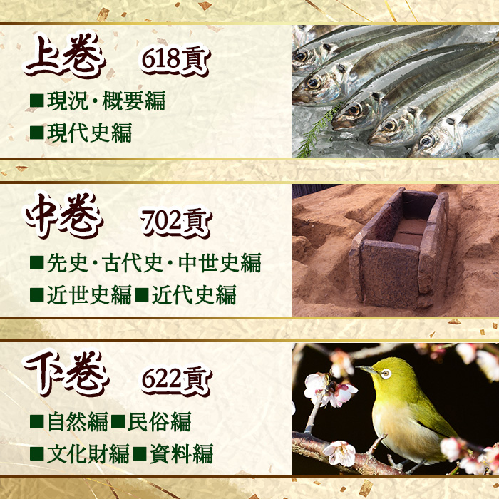 佐伯市誌 上・中・下巻 (全3巻)【佐伯市教育委員会社会教育課】【HR01】