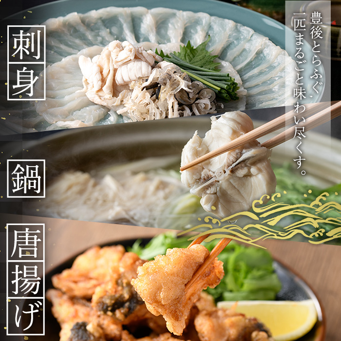 ＜業務用＞豊後とらふぐ 1匹 青箱入 (約800g前後) ふぐ フグ とらふぐ 皮 アラ あら てっちり鍋 鍋 ふぐ唐揚げ ふぐ刺し フグ刺し ふぐ刺身 フグ刺身 刺身 鮮魚 冷蔵 養殖 業務用 国産 大分県【AB211】【柳井商店】