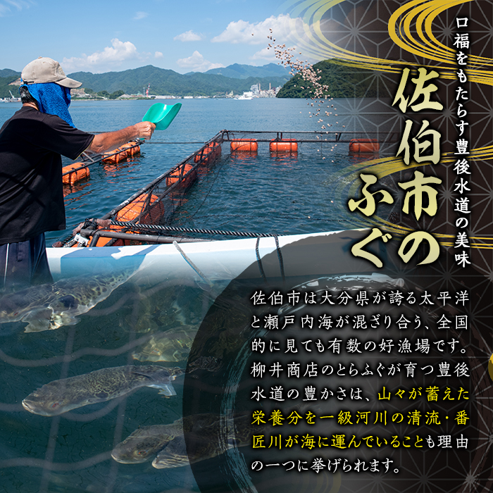天然とらふぐ ちり鍋 唐揚げ用 (約400g) 数量限定 とらふぐ ふぐ フグ 鍋 ふぐちり鍋 唐揚げ 冷凍 天然 国産 大分県 佐伯市【AB215】【柳井商店】