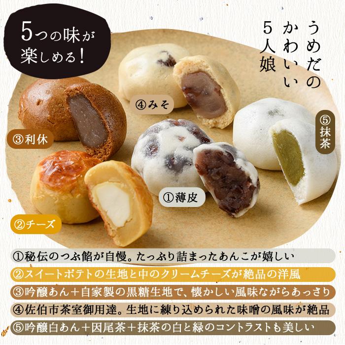 ひとくちまんじゅう 佐伯むすめ (計30個・5種×6個) 饅頭 饅頭 ひとくち 一口 薄皮 みそ 黒糖 抹茶 チーズ お菓子 スイーツ おやつ 焼き菓子 和菓子 詰め合わせ 個装 常温 大分県 佐伯市【AG96】【お菓子のウメダ】