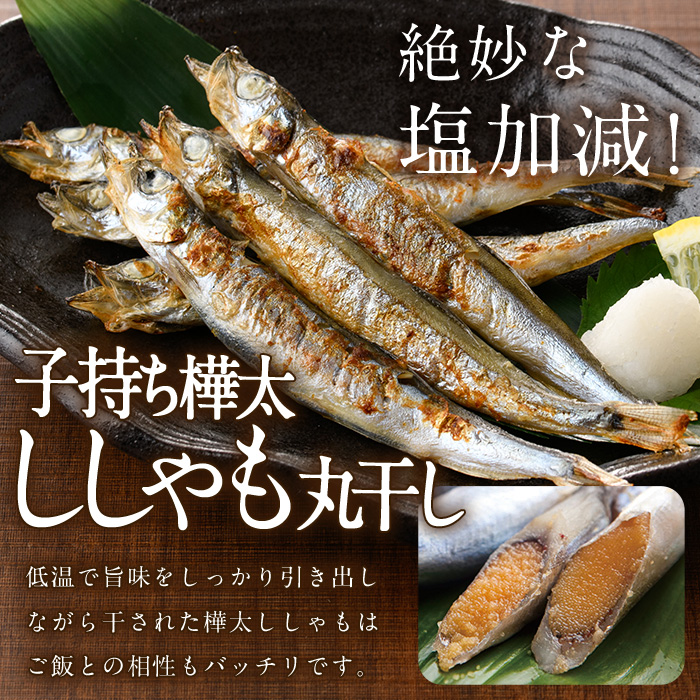 子持ち樺太ししゃも丸干し (計1kg・500g×2袋) 干物 ししゃも シシャモ 丸干し 魚 海鮮 冷凍 大分県 佐伯市【AP82】【(株)ヤマジン】