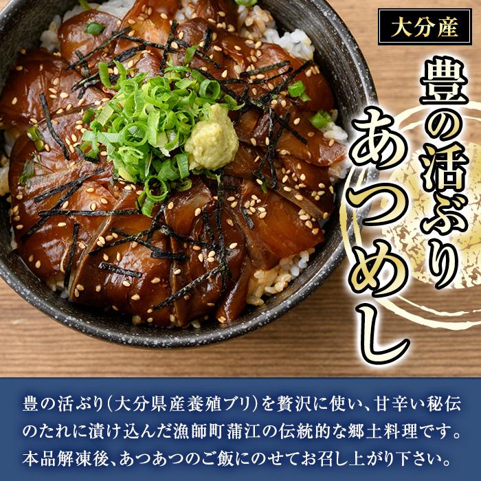 ＜お試し用＞あつめし (計160g・80g×2袋) あつめし 海鮮 りゅうきゅうブリ 漬け丼 魚 惣菜 おつまみ 海の直売所 【AS124】【海べ (株)】