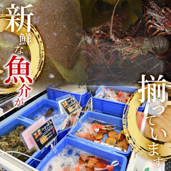 カンパチ 刺身用 ブロック 冷蔵(約400-500g・4-5人前) カンパチ かんぱち 神経締め 獲れたて 鮮魚 ブロック 刺身 冷蔵 海の直売所 大分県 佐伯市【AS132】【海べ (株)】