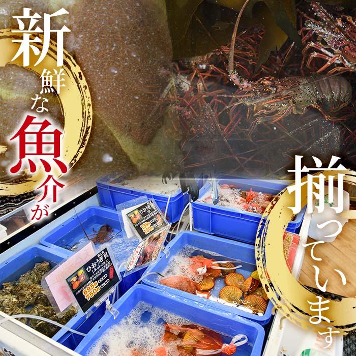 ＜定期便・全12回 (連続)＞魚介類定期便 (2-3人前×12ヶ月)魚 魚介 いか イカ たこ タコ 貝 海老 えび エビ 獲れたて 冷蔵 海の直売所 大分県 佐伯市【AS63】【海べ (株)】