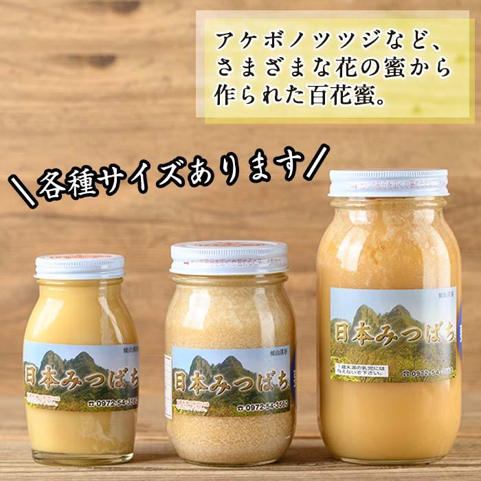 国産 はちみつ (600g) ハチミツ 蜂蜜 ロイヤルゼリー 調味料 スイーツ 多賀さん採蜜 大分県 佐伯市【AY66】【(公財)さいき農林公社】