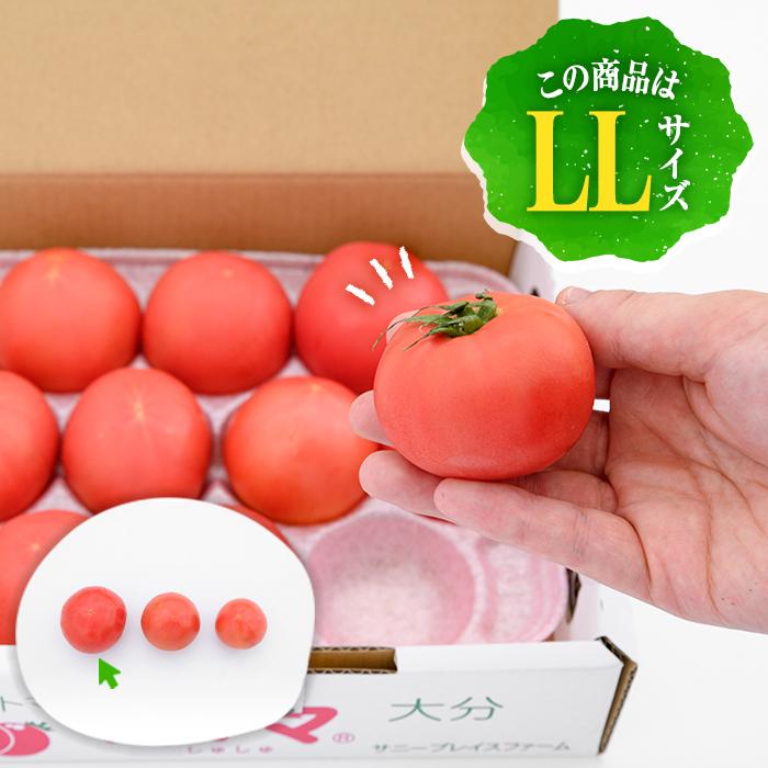 フルーツトマト 朱々 LLサイズ (計1kg・8-10玉) LL 高糖度 糖度 フルーツトマト トマト 野菜 サラダ 大分県 佐伯市 九州産 国産 大分県 佐伯市【CH61】【サニープレイス】