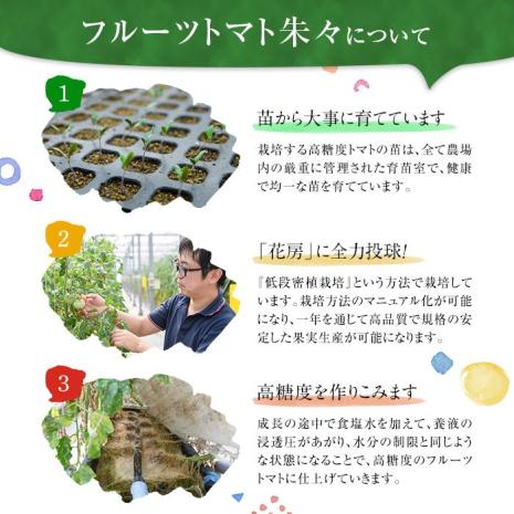 フルーツトマト 朱々 Mサイズ (計1kg・16-18玉) M 高糖度 糖度 フルーツトマト トマト 野菜 サラダ 大分県 佐伯市 九州産 国産 大分県 佐伯市【CH63】【サニープレイス】