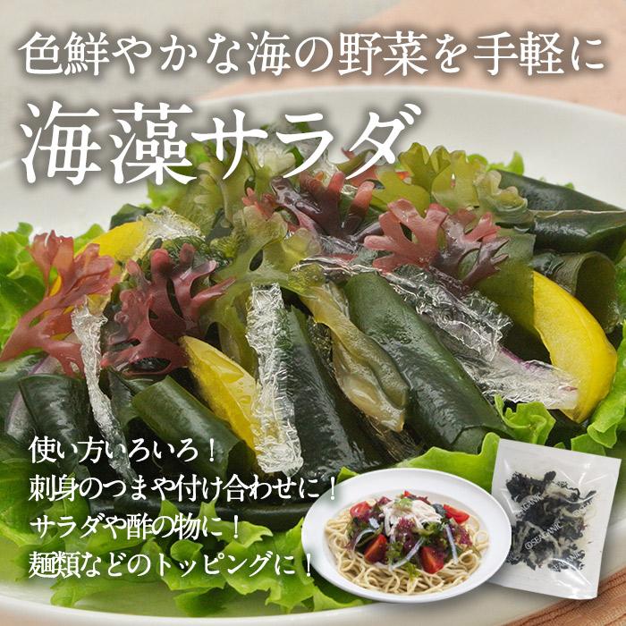 プチマリンと海藻サラダセット (合計14袋・2種×各7袋) 冷蔵 海藻 寒天 ヘルシー ダイエット カロリーオフ サラダ 酢の物 スープ 大分県 セット 詰め合わせ 大分県 佐伯市【CW14】【山忠】