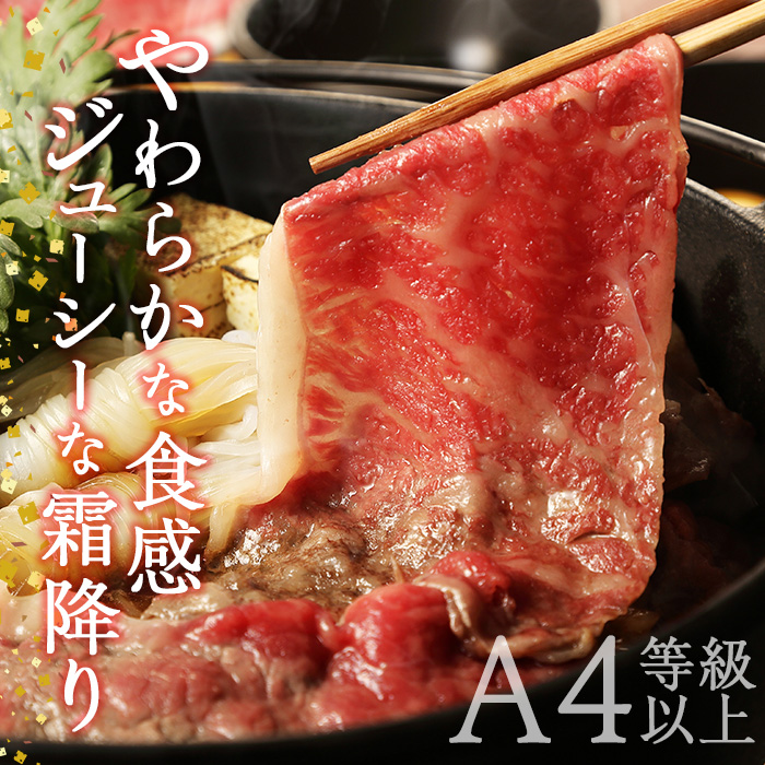 おおいた和牛 ローススライス (500g) 国産 牛肉 肉 霜降り 低温熟成 A4 和牛 ブランド牛 ロース すき焼き しゃぶしゃぶ 冷凍 大分県 佐伯市 【DH193】【ネクサ】