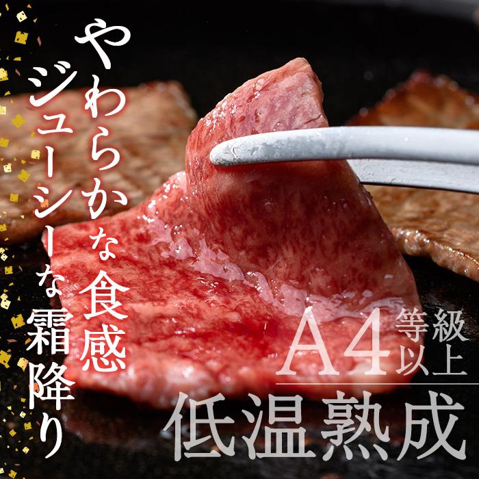 おおいた和牛 上カルビ 焼肉 (250g) 国産 牛肉 肉 霜降り 低温熟成 A4 和牛 ブランド牛 カルビ BBQ 冷凍 大分県 佐伯市【DH219】【(株)ネクサ】