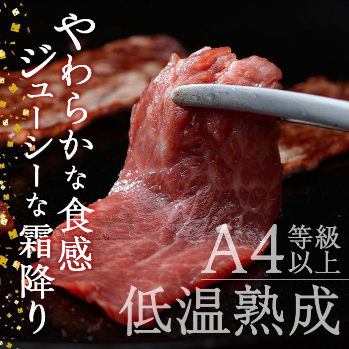 おおいた和牛 赤身 焼肉 2種セット (合計550g・特選赤身焼肉250g+赤身焼肉300g) 国産 牛肉 肉 霜降り 低温熟成 A4 和牛 ブランド牛 BBQ 冷凍 大分県 佐伯市 【DH233】【(株)ネクサ】