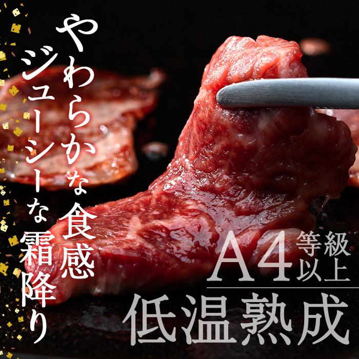 おおいた和牛A4ランク以上！赤身焼肉セット(合計800g・3種) 国産 牛肉 肉 霜降り 低温熟成 A4 和牛 ブランド牛 BBQ 冷凍 大分県 佐伯市【DH234】【(株)ネクサ】