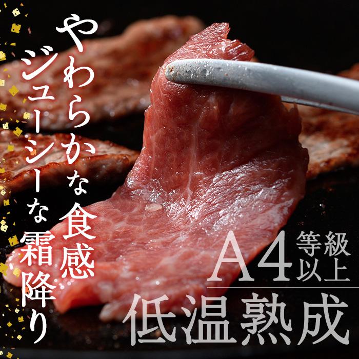 おおいた和牛 赤身 焼肉 (300g) 国産 牛肉 肉 霜降り 低温熟成 肩 モモ A4 和牛 ブランド牛 BBQ 冷凍 大分県 佐伯市【DH240】【(株)ネクサ】