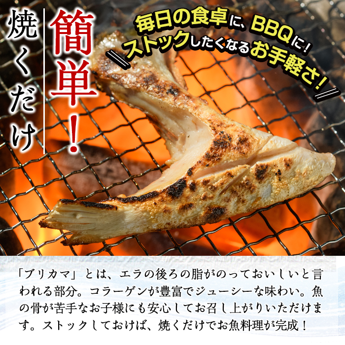 ＜お試し用＞ひもの丸丁の塩ブリカマ(3～4枚入り)×2パック 大分県産 国産 ブリ ぶり 鰤 養殖ブリ 新鮮 鰤かま 冷凍 大分県 佐伯市【DH254】【(株)ネクサ】