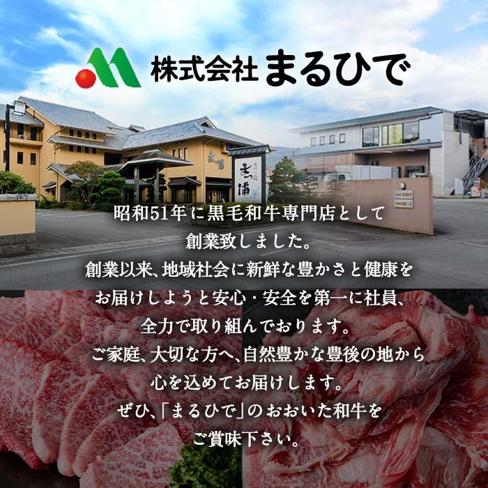 おおいた 味力 ソーセージセット(合計2.28kg・全6種)豚肉 鶏肉 鳥肉 とり肉 詰め合わせ 詰合せ あらびき ベーコン ウインナー お弁当 惣菜 おかず おつまみ 国産 冷凍【DP69】【 (株)まるひで】