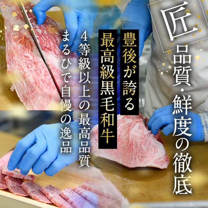 おおいた和牛 サーロイン ヒレ ステーキ セット ソース付き (合計620g・サーロイン180g×2枚・ヒレ130g×2枚) サーロイン ステーキ 国産 4等級 冷凍 和牛 牛肉 詰め合わせ 大分県 佐伯市【DP75】【 (株)まるひで】