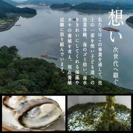 真ガキ 大入島オイスター (約1.3kg) 牡蠣 かき カキ 貝 海鮮 魚介類 冷蔵 生食可 シングルシード 養殖 大分県 佐伯市【ED08】【(合)新栄丸】