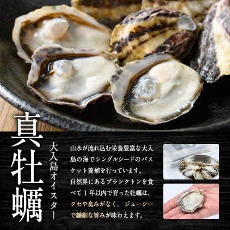 真ガキ 大入島オイスター (約2.6kg) 牡蠣 かき カキ 貝 海鮮 魚介類 冷蔵 生食可 シングルシード 養殖 大分県 佐伯市【ED09】【(合)新栄丸】
