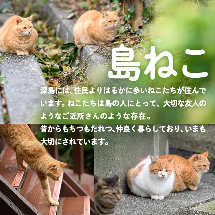 深島の猫へ寄付と深島猫グッズ (Bプラン・計5種) 猫 ネコ ねこ 寄附 カレンダー タオル  大分県 佐伯市【EK10】【でぃーぷまりん】