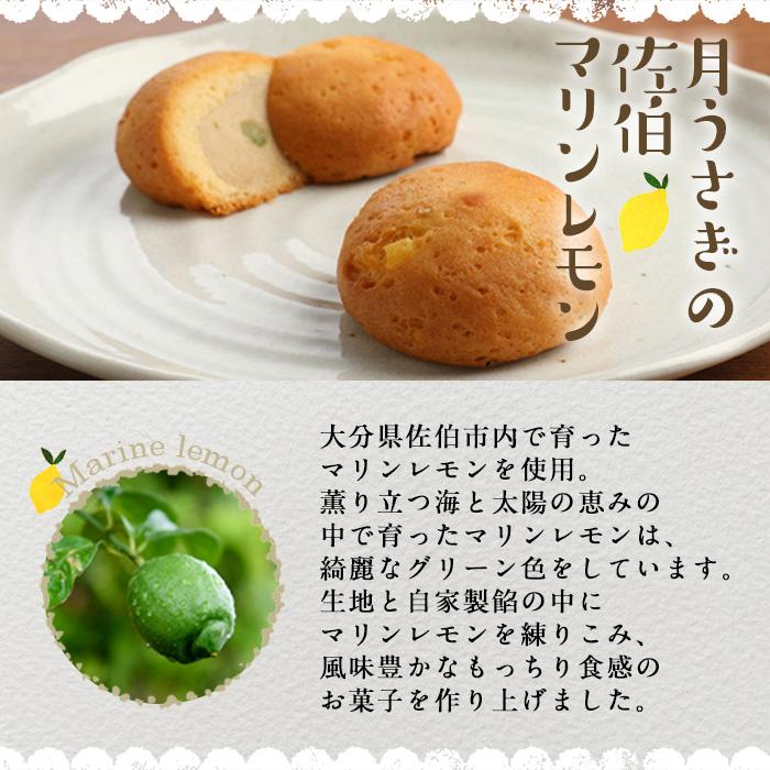 月うさぎの佐伯マリンレモン (計10個) レモン レモンケーキ スイーツ スウィーツ 菓子 焼き菓子 洋菓子 おやつ セット 個装 大分県 佐伯市【ER002】【(株)古川製菓】