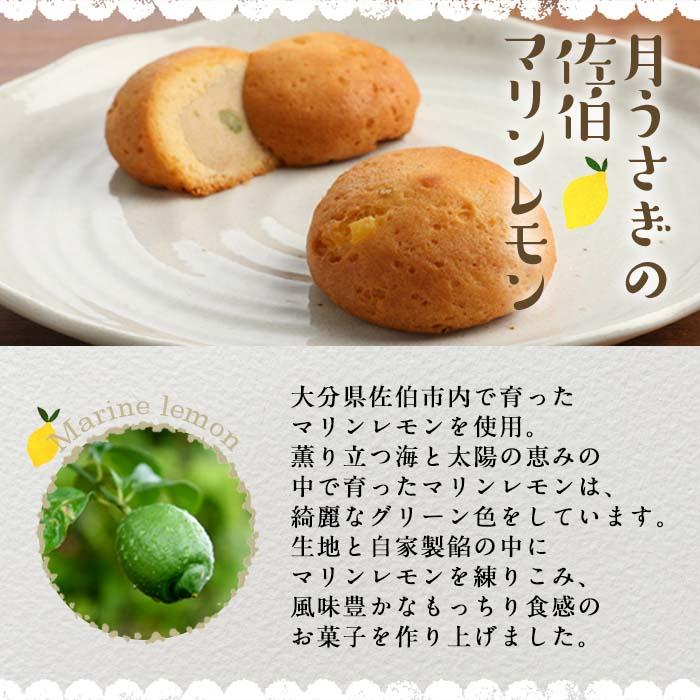 月うさぎの佐伯マリンレモン (計25個) レモン レモンケーキ スイーツ スウィーツ 菓子 焼き菓子 洋菓子 おやつ セット 個装 大分県 佐伯市【ER005】【(株)古川製菓】