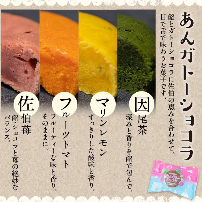 あんガトーショコラ (合計8個・4種各2個) 餡 ガトーショコラ スイーツ スウィーツ 菓子 焼き菓子 洋菓子 おやつ 詰め合わせ セット 個装 大分県 佐伯市【ER033】【(株)古川製菓】