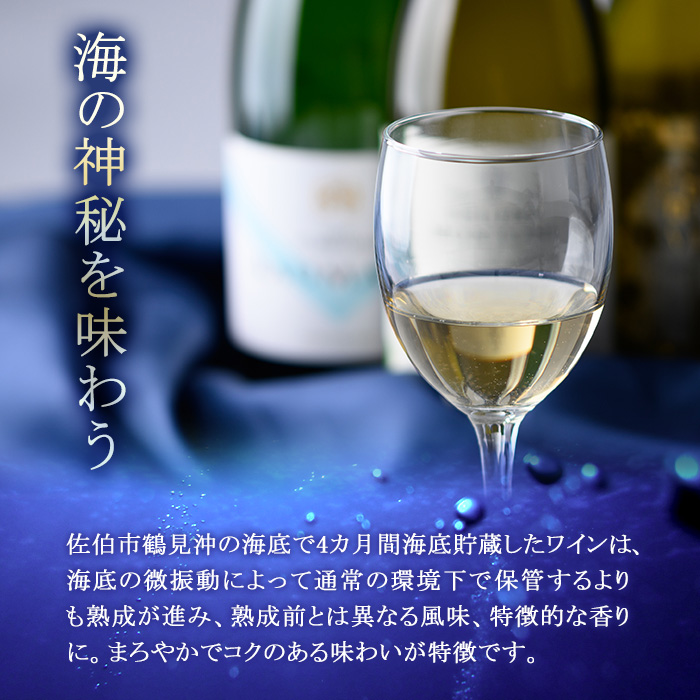 海底貯蔵ワイン 白 MARIREINE オーベルマチュ パルーザ ヴィオニエ2021(750ml・1本)フランスワイン ワイン 白ワイン 酒 パーティー マリレーヌ 海底酒 熟成 大分県 佐伯市【FP023】【フルタ酒店】