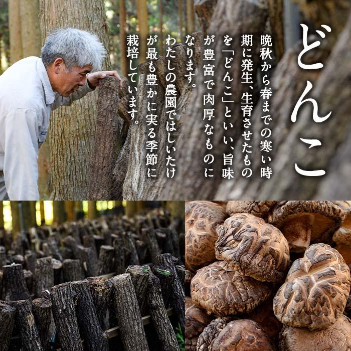 戻しいらず椎茸どんこ・中肉・小粒の3点セット (合計300g・100g×3種) 原木栽培 干し椎茸 乾椎茸 しいたけ きのこ 出汁 大分県 佐伯市 【FR01】【かやの椎茸屋】