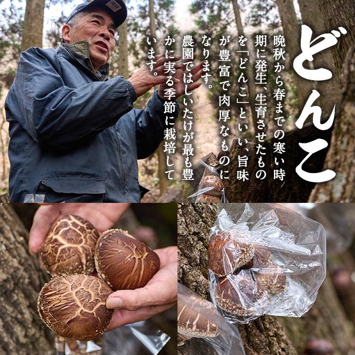 ＜先行予約受付中！2026年1月より発送開始予定＞原木栽培の大玉生しいたけ（1kg）九州産 大分県産 国産 しいたけ 椎茸 生椎茸 生シイタケ 生しいたけ 生しいたけ 生シイタケ 原木しいたけ 佐伯市【FR03】【かやの椎茸屋】