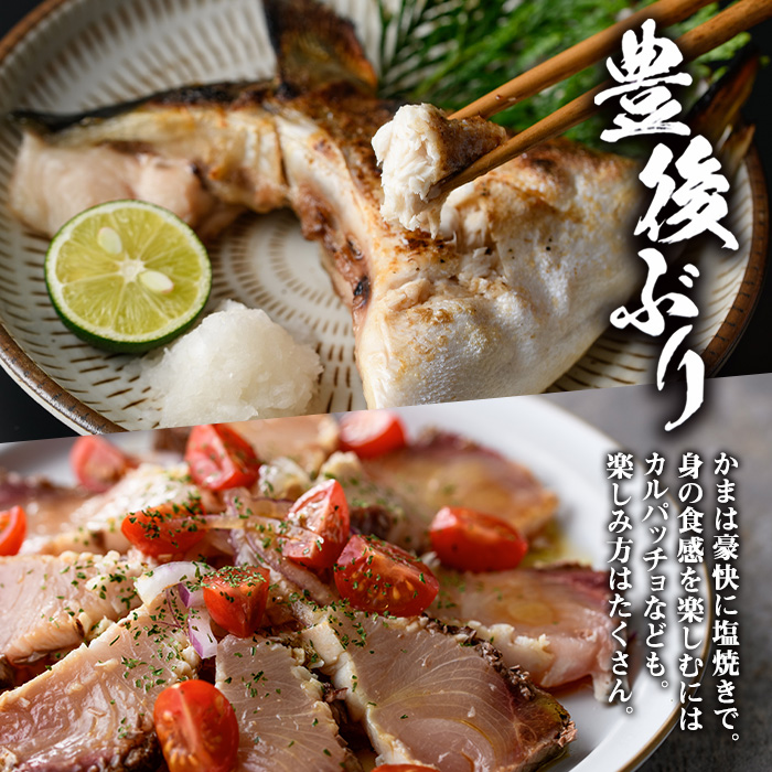 ＜先行予約受付中！2025年12月に順次発送予定＞豊後ぶり半身セット (合計1kg以上・スキンレスポーション×4切れ・ブリカマ×1切れ・あつめしのタレ×5袋) 簡単調理 鰤 皮なし 骨なし 小分け 真空パック 刺身 刺し身 塩焼き【GD001】【東海シープロ】