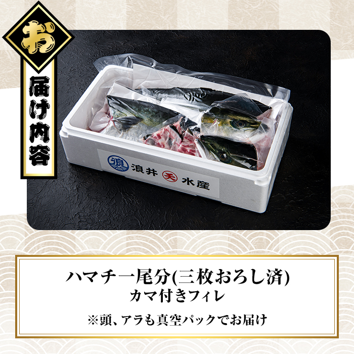 豊後ハマチ 若武者(三枚おろし済1尾) ハマチ はまち 鮮魚 旬 刺身 三枚おろし 国産 大分県 佐伯市 特産品【GS002】【浪井丸天水産】