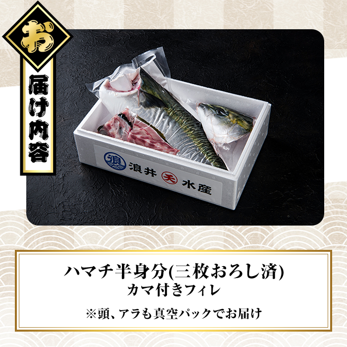 豊後ハマチ 若武者(三枚おろし半身) ハマチ はまち 鮮魚 旬 刺身 三枚おろし 国産 大分県 佐伯市 特産品 さしみ【GS003】【浪井丸天水産】