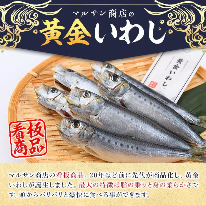 ＜訳あり＞黄金いわし (60尾以上) 黄金 いわし イワシ 丸干し 魚 海鮮 冷凍 おつまみ 小分け【GX002】【(有)マルサン商店】