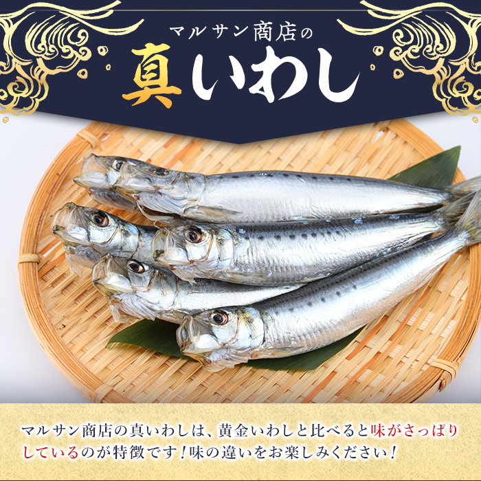 ＜訳あり＞佐伯市産真いわしと黄金いわし 食べ比べ (2種・60尾以上) 国産 大分県産 イワシ 黄金いわし 丸干し 魚 海鮮 冷凍 おつまみ 小分け【GX003】【(有)マルサン商店】