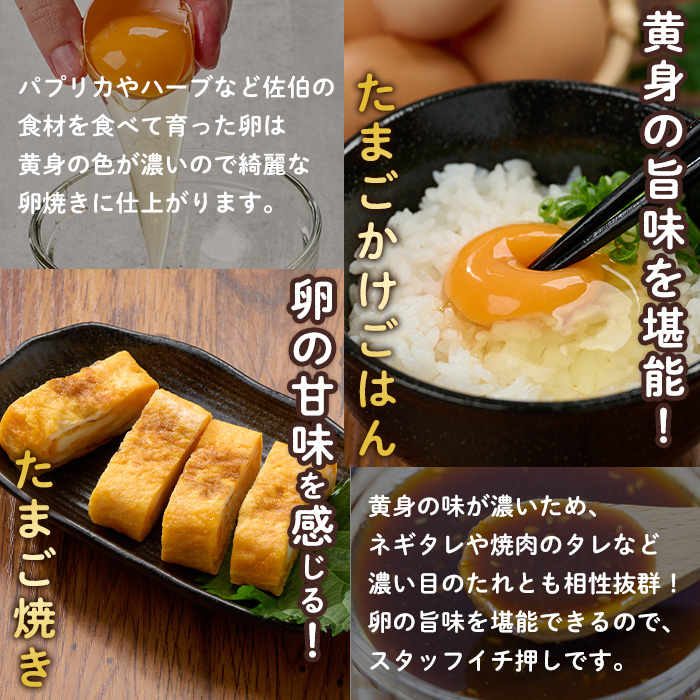 産直・平飼い有精卵  (計60個) 卵 玉子 卵かけご飯 玉子焼き 平飼い 鶏 鶏卵 養鶏場直送 朝採れ 新鮮 大分県 佐伯市 【HM02】【佐伯養鶏場】