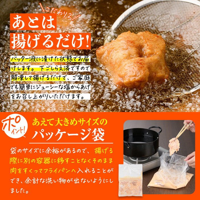 時短おかず 揚げるだけ 大分からあげ 醤油にんにく味 (計1kg・500g×2パック) 国産 鶏もも肉 肉 からあげ 唐揚げ 食べ比べ 醤油にんにく味 冷凍 惣菜 お弁当 小分け 簡単 時短 大分県 佐伯市【DH290】【ネクサ】
