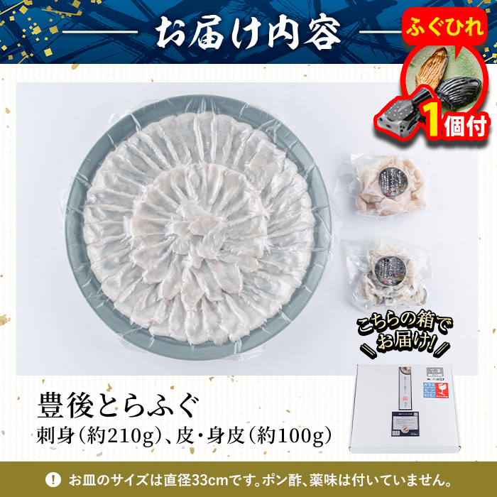 【期間限定・ふぐひれ付】豊後 とらふぐ 刺身 セット (総量約310g：4-5人前×1回) とらふぐ ふぐ フグ ふぐ刺し フグ刺し ふぐ刺身 フグ刺身 刺身 鮮魚 冷凍 養殖 国産 大分県 佐伯市【AB101-G】【柳井商店】