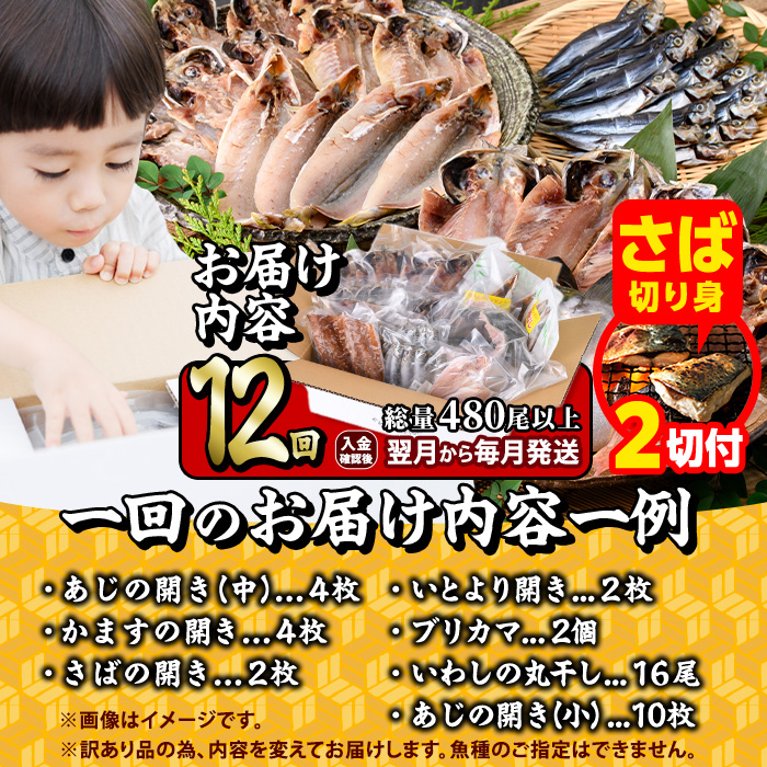 【期間限定・さば切り身2切付】＜定期便・全12回 (毎月)＞訳あり 干物大満足BOX (40尾以上)定期便 簡単 調理 干物 あじ かます さば いわし みりん干し 丸干し 開き 魚 海鮮 冷凍 詰め合わせ セット 大分県 佐伯市【AQ91-G】【やまろ渡邉】
